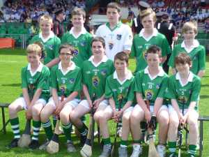 Limerick Primary hurling team