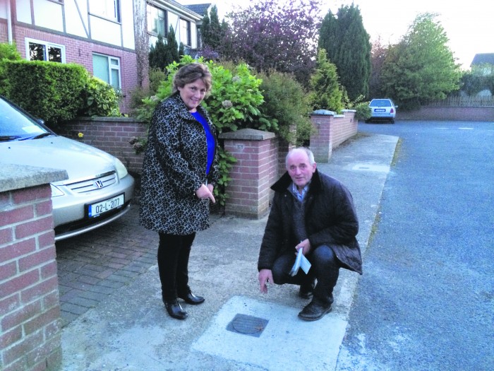 Fianna Fail local election candidate for Limerick City West, Geraldine Leddin with one of the residents who have expressed concern over the Irish Water meters installed at the Cedar Downs housing estate in Raheen