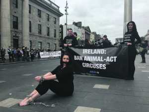 Limerick woman Clodagh Byrnes gagged and chained on Dublin's O'Connell Street.