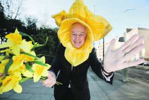 Limerick businesses urged to support Irish Cancer Society's Daffodil Day.