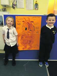 Supporting World Book Day