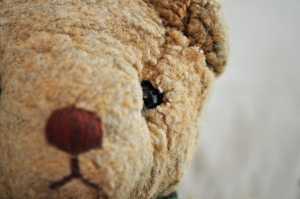 teddy-bear-640x425