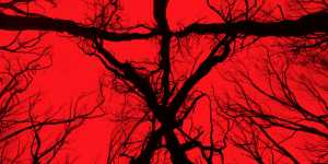 blair-witch-2016-trailers-posters