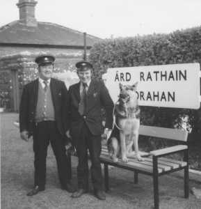 Timmy Coughlan, signalman Tony Niland and Columbo with the staff token in his mouth. Columbo was fluent in railway operations, but had to stay at home whenever the bosses came to town. 