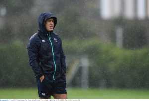 tom tierney rugby ireland limerick post news sport