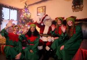 Bunratty elves