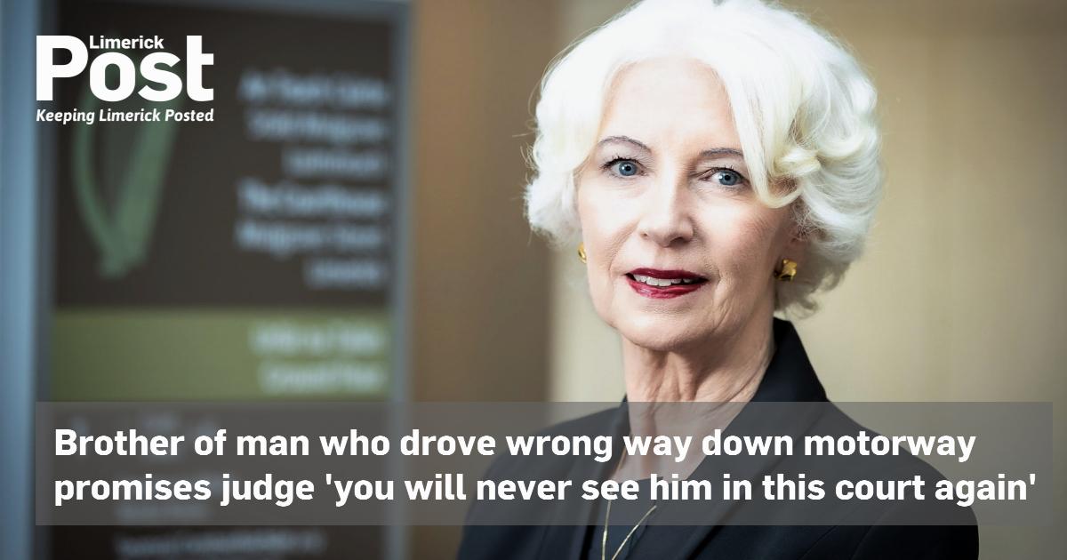 Brother of man who drove wrong way down motorway promises judge 'you ...