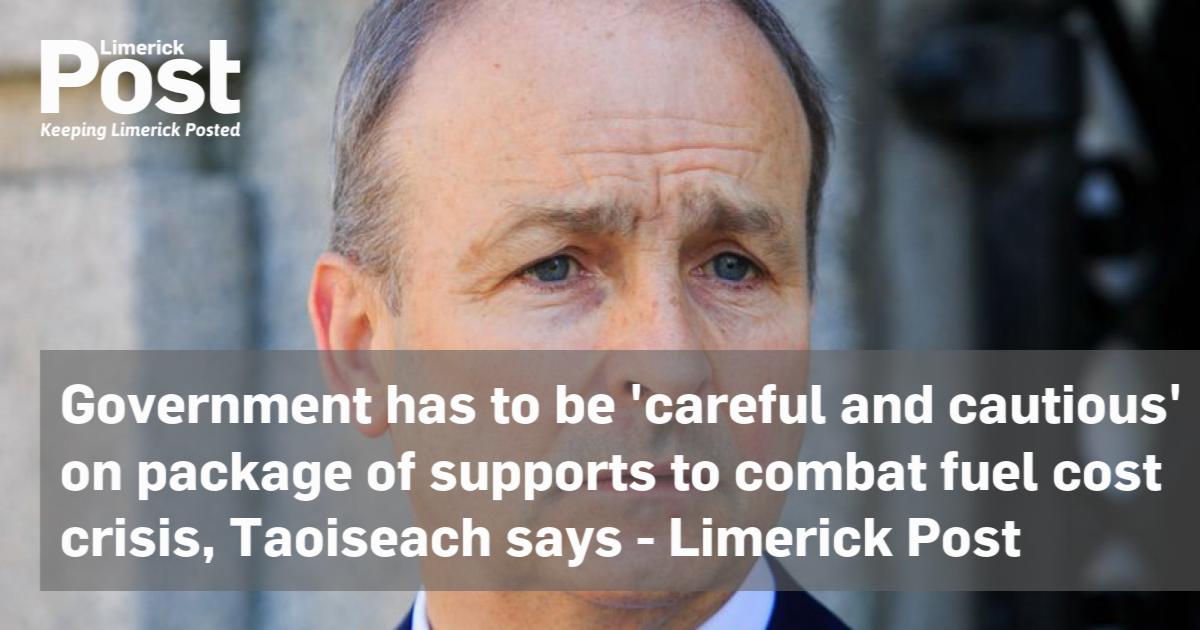 Government has to be ‘careful and cautious’ on package of supports to combat fuel cost crisis, Taoiseach says