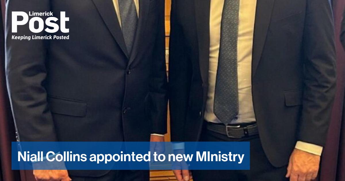 Niall Collins appointed to new MInistry