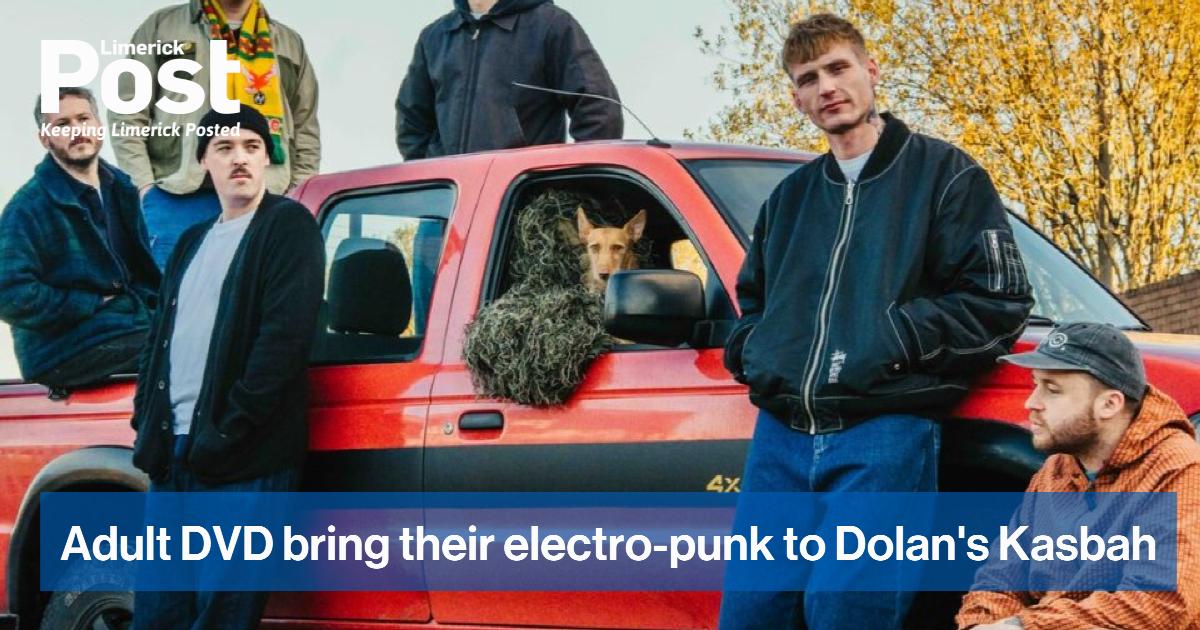 Adult DVD bring their electro-punk to Dolan's Kasbah