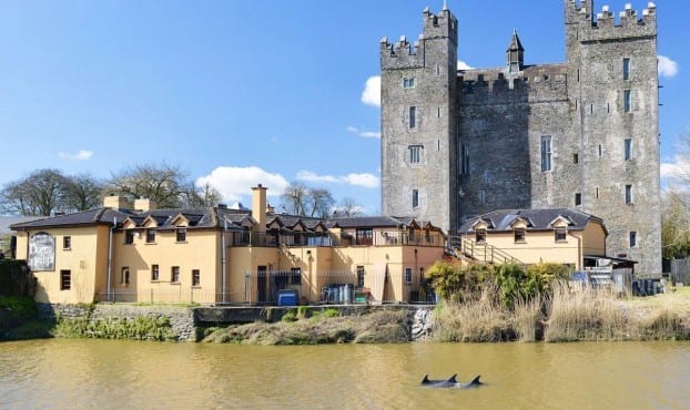 Bunratty dolphins