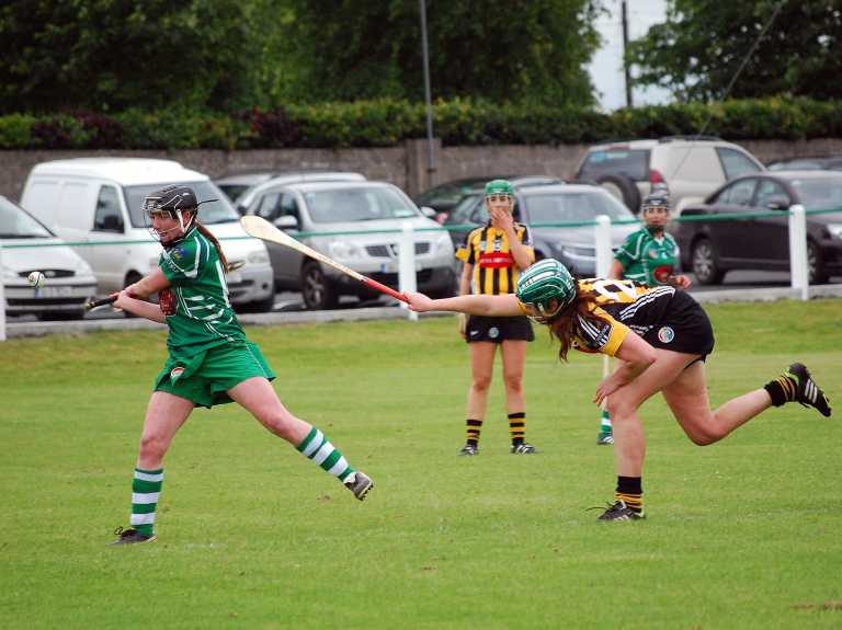 Limerick camogie: Kilkenny beaten in championship