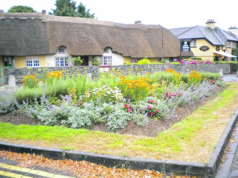 Limerick scores well in Tidy Towns