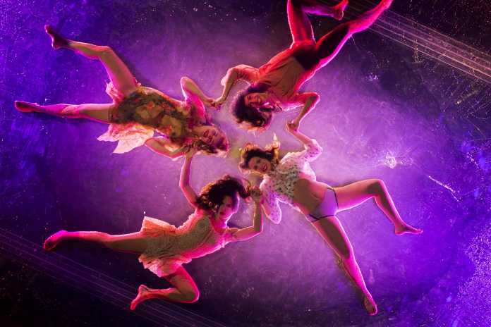 FUERZABRUTA 5