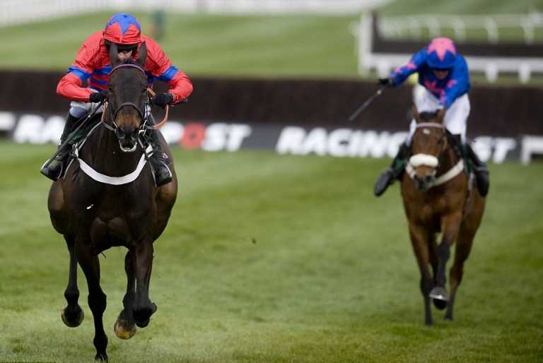 2014 Cheltenham Festival- Fields Taking Shape