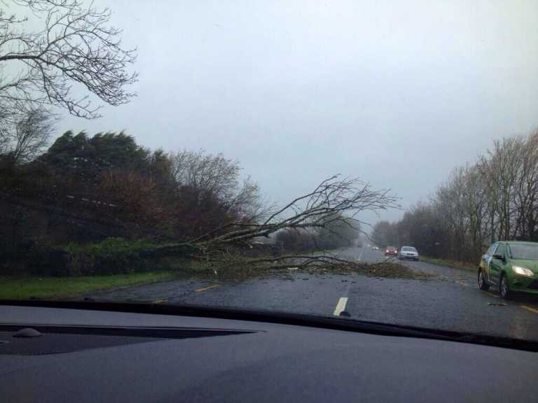Storm Darwin causes havoc in city and county as airport forced to close