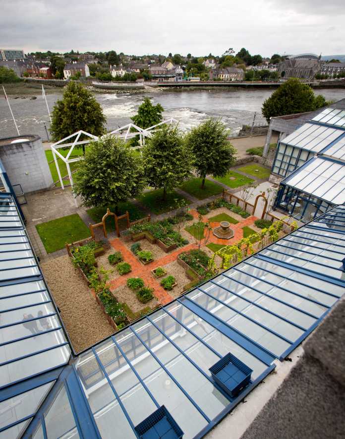Bloom Garden Limerick 009