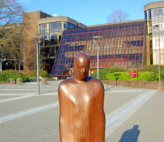 Brown Thomas