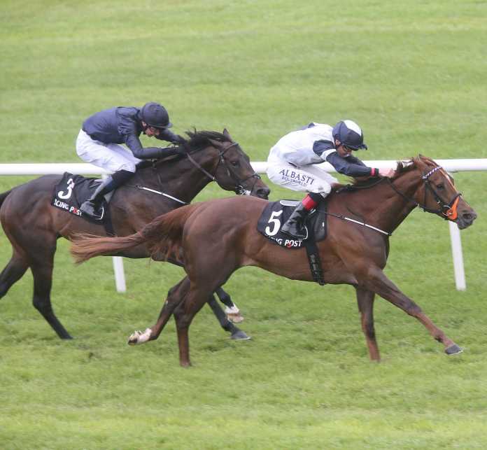 HORSE RACING