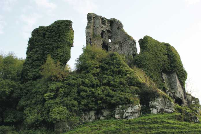 Carrigogunnell Castle