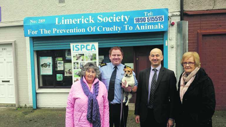 New inspector is a ‘real benefit’ for welfare of Limerick animals