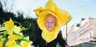 Limerick businesses urged to support Irish Cancer Society's Daffodil Day.