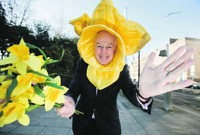 ICS Daffodil Day 08 Limerick businesses urged to support Irish Cancer Society's Daffodil Day.