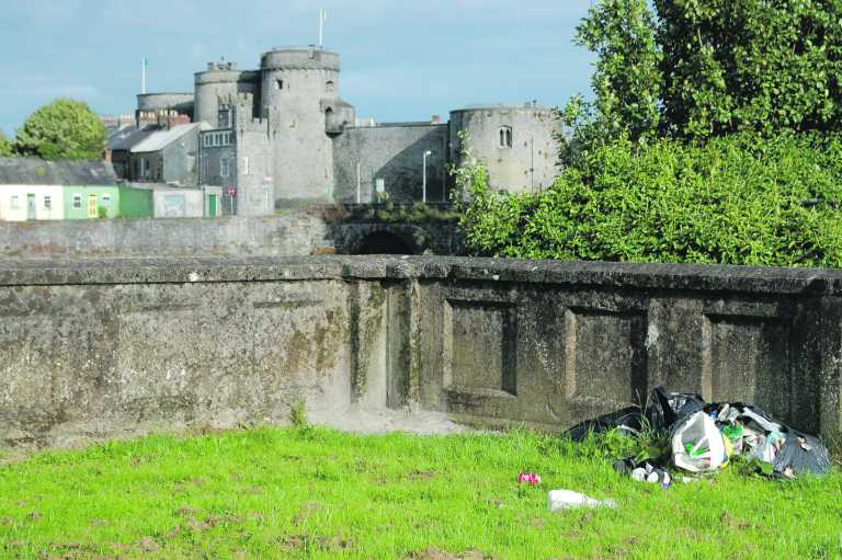 Investigation into illegal dumping in Thomondgate