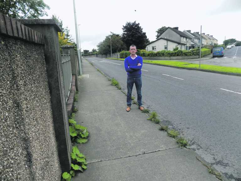 Weeds take root on Limerick streets