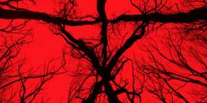 blair-witch-2016-trailers-posters