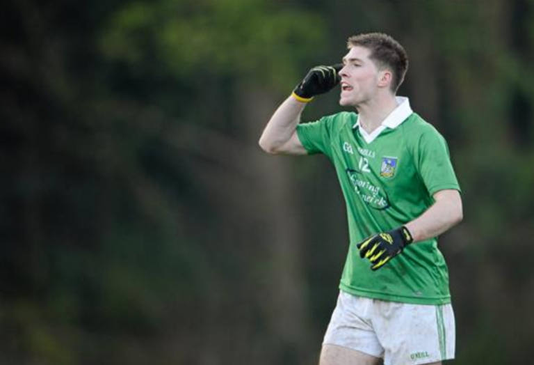 Limerick name unchanged side for Waterford in Mc Grath Cup