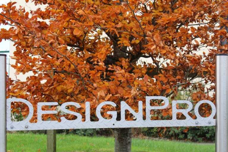 Local small businesses receive huge funding from EU