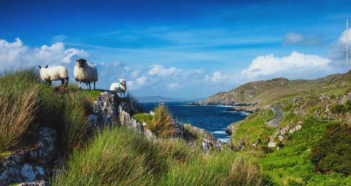 wild atlantic way