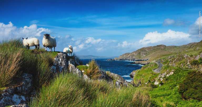 Limerick to become part of the Wild Atlantic Way