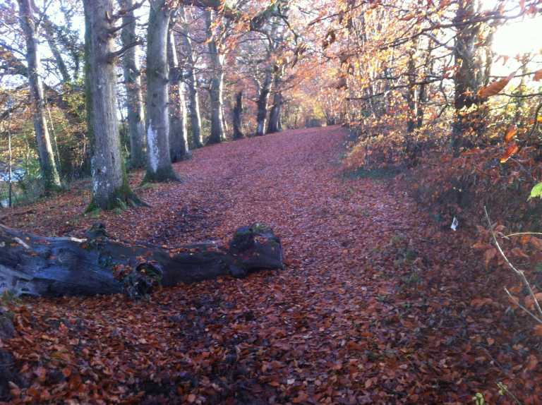 Limerick rural recreational projects receive support funding