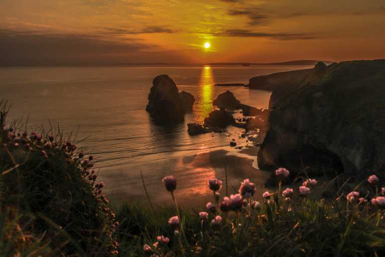 Local events and photography competition highlights of Biodiversity Week