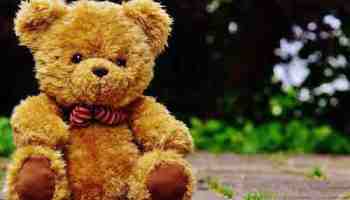 teddy-1444648-1920-1486756010