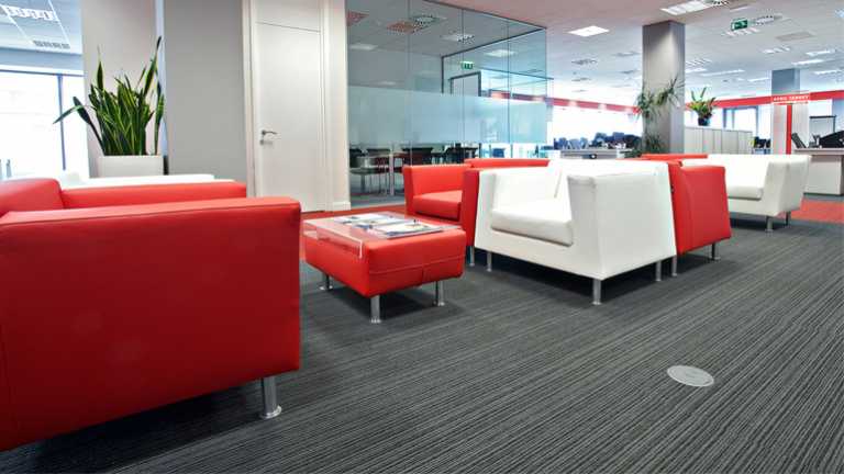 Pepper’s Shannon recruitment is not to be sneezed at