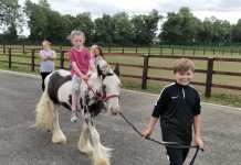 Members of the HELPS horse group got to visit the community stables in Clondalkin. limerick horse project limerick post news community