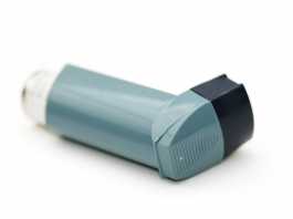 Limerick post news asthma society risk