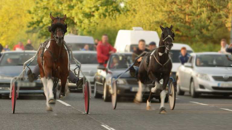 Limerick regulations to ban sulky racing on roads