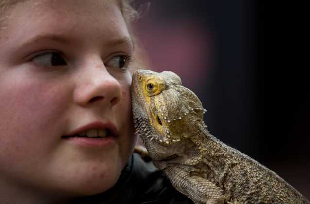 Animal Magic at UL