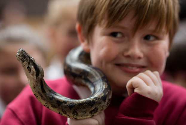 Animal Magic at UL