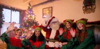 Bunratty elves