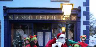 Bunratty elves