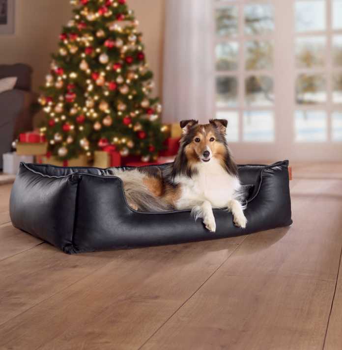 Dog bed Dog bed
