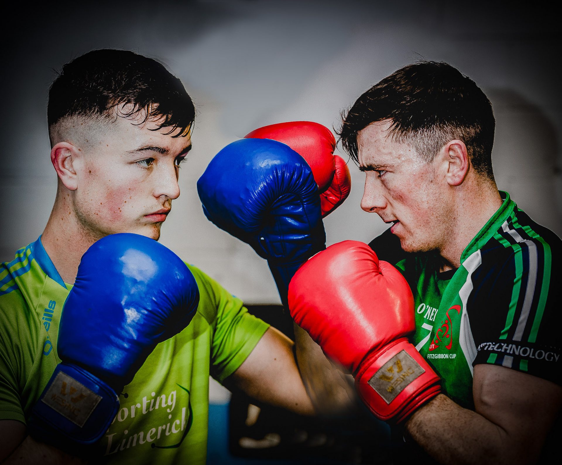Limerick hurlers take to the ring in fundraising Fight Night