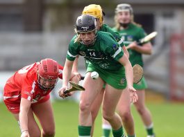 Niamh Mulcahy in action against Cork in the 2017 National Camogie League semi-final. Photo: Matt Browne/Sportsfile