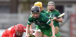 Niamh Mulcahy in action against Cork in the 2017 National Camogie League semi-final. Photo: Matt Browne/Sportsfile