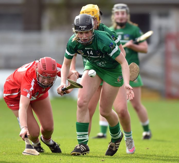 Niamh Mulcahy in action against Cork in the 2017 National Camogie League semi-final. Photo: Matt Browne/Sportsfile